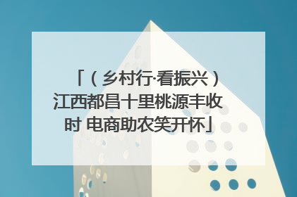 （乡村行·看振兴）江西都昌十里桃源丰收时 电商助农笑开怀