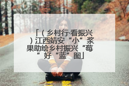 （乡村行·看振兴）江西靖安“小”浆果助绘乡村振兴“莓”好“蓝”图