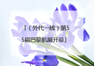 （外代一线）第55届巴黎航展开幕
