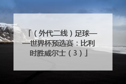 （外代二线）足球——世界杯预选赛：比利时胜威尔士（3）