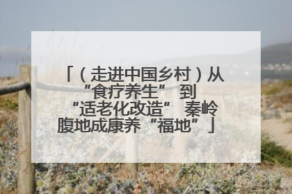 （走进中国乡村）从 “食疗养生” 到 “适老化改造” 秦岭腹地成康养“福地”