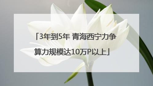 3年到5年 青海西宁力争算力规模达10万P以上