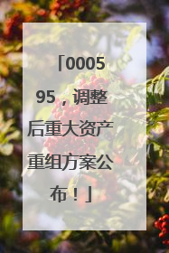 000595，调整后重大资产重组方案公布！
