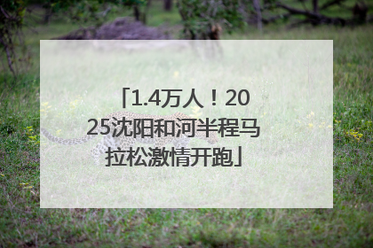 1.4万人！2025沈阳和河半程马拉松激情开跑