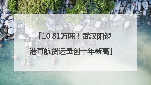 10.81万吨！武汉阳逻港直航货运量创十年新高