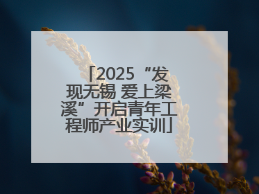 2025“发现无锡 爱上梁溪”开启青年工程师产业实训