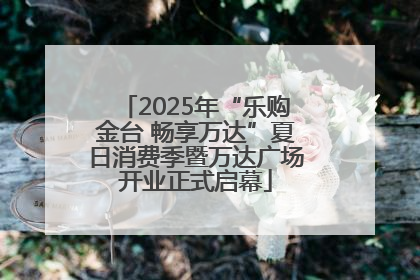 2025年“乐购金台 畅享万达”夏日消费季暨万达广场开业正式启幕