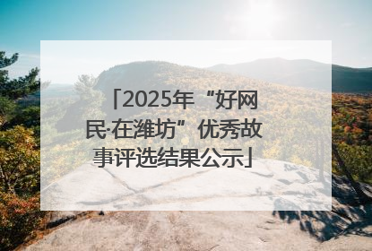 2025年“好网民·在潍坊”优秀故事评选结果公示