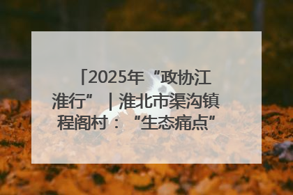 2025年“政协江淮行”｜淮北市渠沟镇程阁村：“生态痛点”变“生态景观”