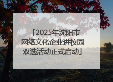 2025年沈阳市网络文化企业进校园双选活动正式启动