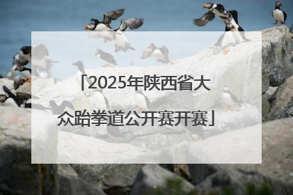 2025年陕西省大众跆拳道公开赛开赛