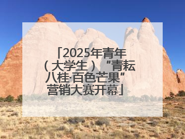 2025年青年（大学生）“青耘八桂·百色芒果”营销大赛开幕
