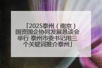 2025泰州（南京）国资国企协同发展恳谈会举行 泰州市委书记用三个关键词推介泰州