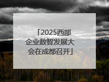 2025西部企业数智发展大会在成都召开