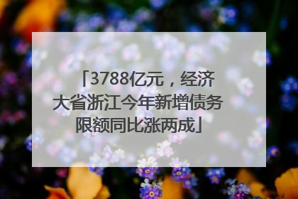 3788亿元，经济大省浙江今年新增债务限额同比涨两成