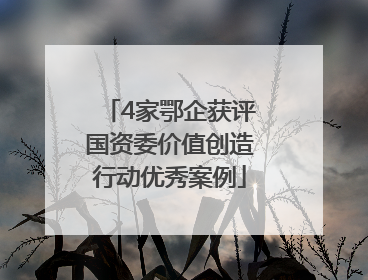 4家鄂企获评国资委价值创造行动优秀案例