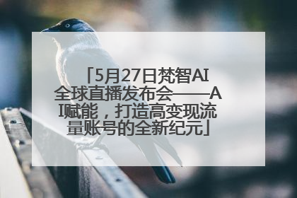 5月27日梵智AI全球直播发布会——AI赋能，打造高变现流量账号的全新纪元