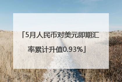 5月人民币对美元即期汇率累计升值0.93%