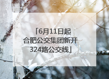 6月11日起 合肥公交集团新开324路公交线