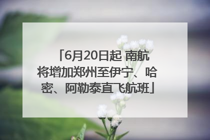 6月20日起 南航将增加郑州至伊宁、哈密、阿勒泰直飞航班