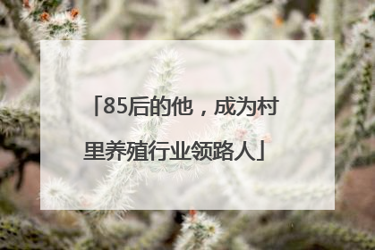 85后的他，成为村里养殖行业领路人