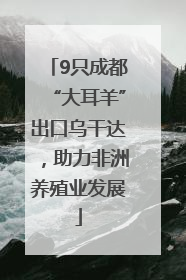 9只成都“大耳羊”出口乌干达，助力非洲养殖业发展