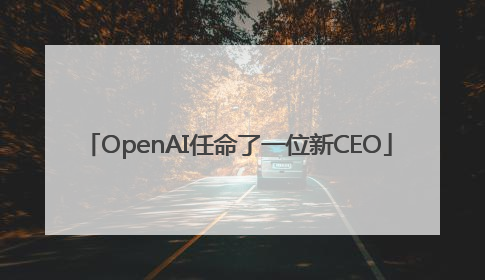 OpenAI任命了一位新CEO