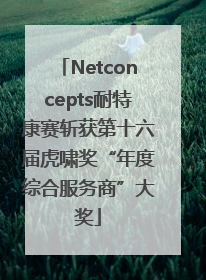 Netconcepts耐特康赛斩获第十六届虎啸奖“年度综合服务商”大奖